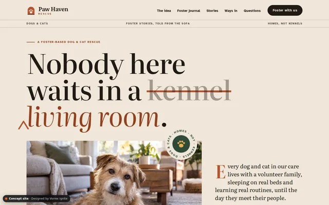 Homepage of the Paw Haven Rescue concept site